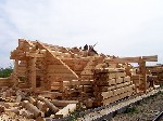 08.jpg